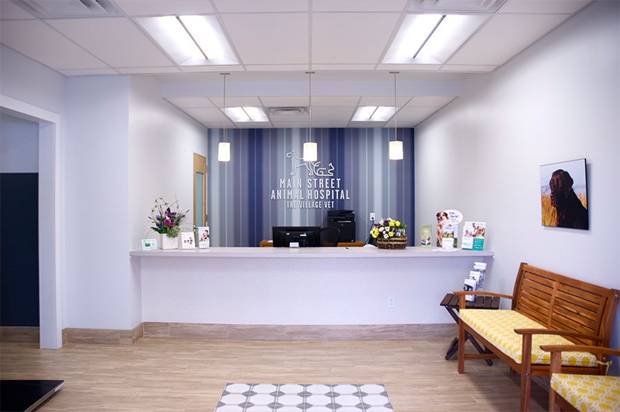 Nicholas White VET photo